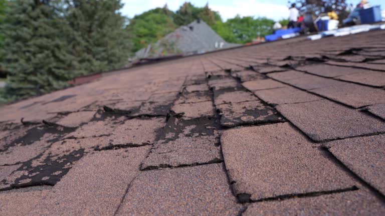 Roof Coating Services in Dubach, LA